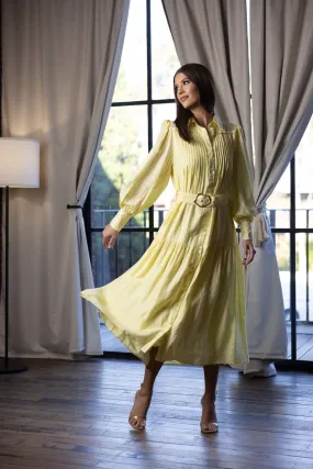 Kareena Shirt Dress