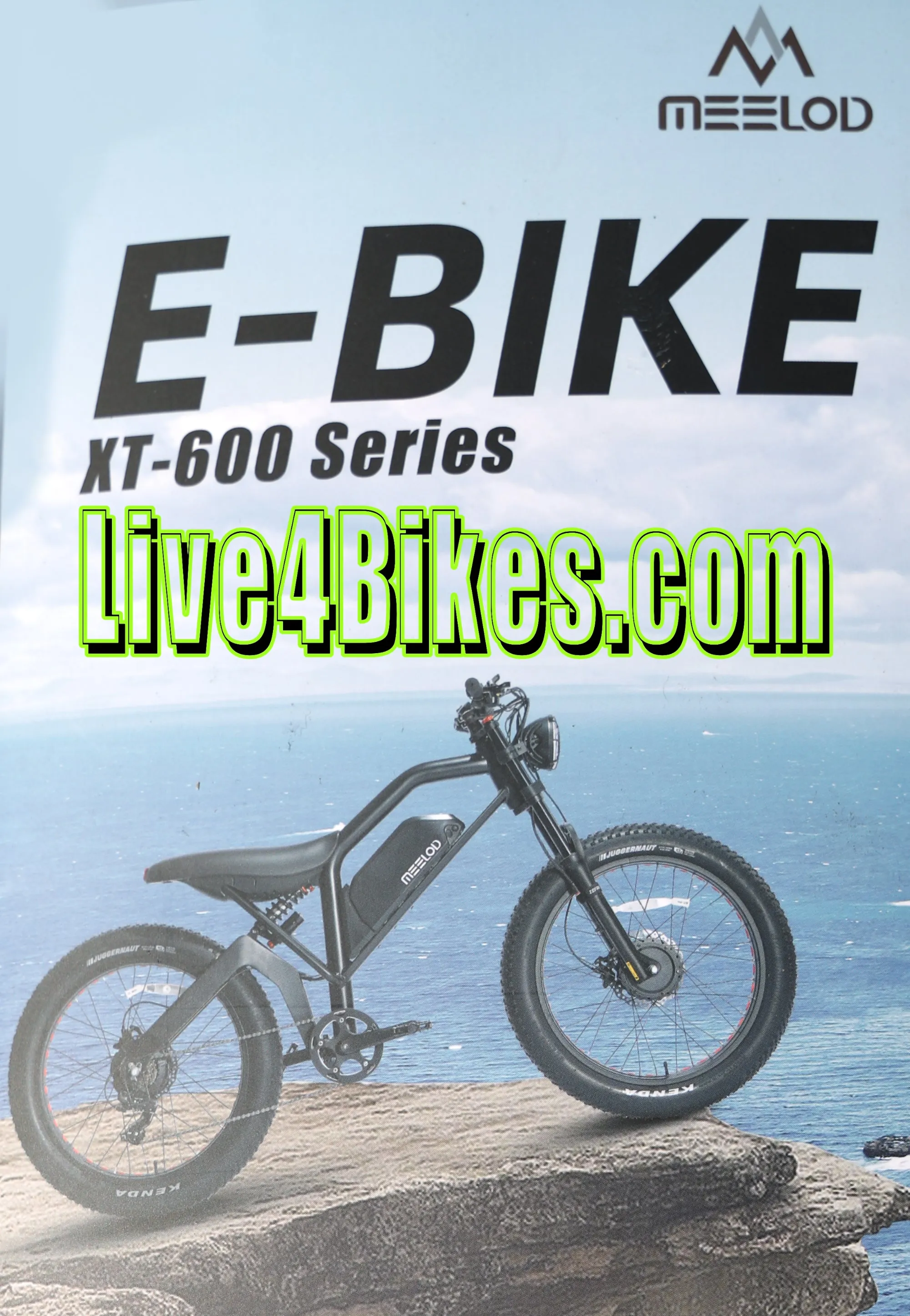 Taiqui XT-600 Fat Tire Electric Dirt Bike Mountain bicycle 750w 48v - Live4Bikes