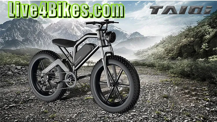 Taiqui XT-600 Fat Tire Electric Dirt Bike Mountain bicycle 750w 48v - Live4Bikes