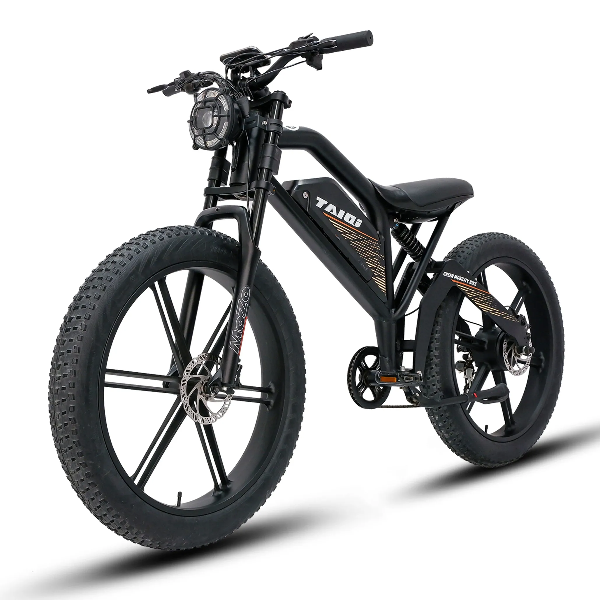 Taiqui XT-600 Fat Tire Electric Dirt Bike Mountain bicycle 750w 48v - Live4Bikes